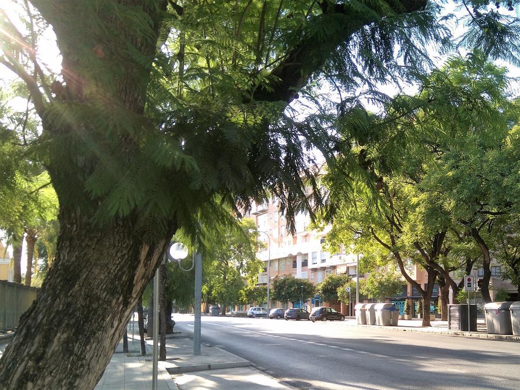 Apartamento Buhaira セビリア エクステリア 写真
